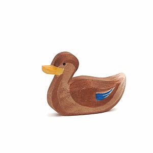 Duck Swimming by Ostheimer