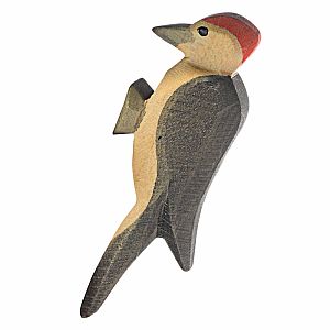 Woodpecker by Ostheimer