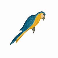 Parrot, Blue by Ostheimer
