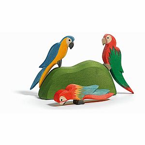 Parrot, Multicolor by Ostheimer