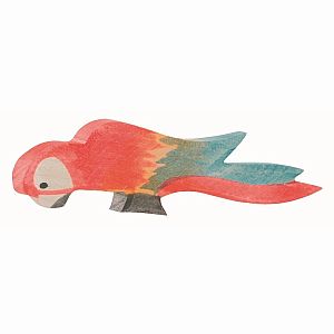 Parrot, Multicolor by Ostheimer