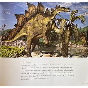 The Amazing World of Dinosaurs Paperback Book
