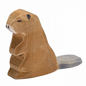 Beaver, Sitting by Ostheimer