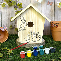 Peter Rabbit - Paint Your Own Bird House
