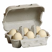 White Wooden Farm Eggs in Carton by Erzi