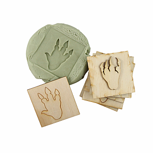 Dinosaur Footprint Stamps w/ Cutouts - Set of 12