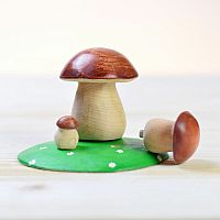 Mushrooms Set by Bumbu